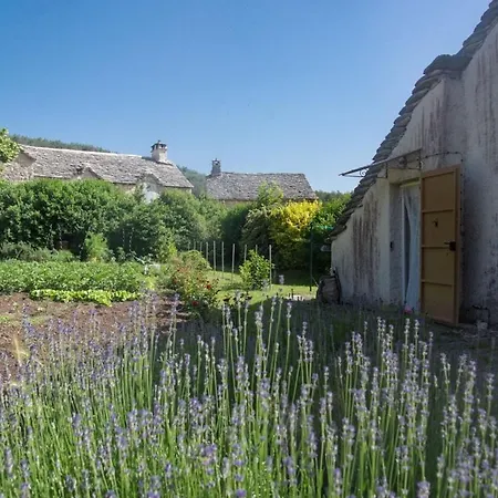 Holiday home L'anemone Saint-Pierre-des-Tripiers